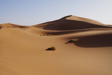 Sahne Erg Chigaga, Afrika 'nın güneydoğusundaki Sahra Çölü' nde kum tepesi, 2023 'te açık mavi gökyüzü, Ocak ayında güneşli bir kış günü..