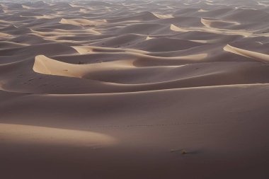 Afrika 'nın güneydoğu MoroCCO' daki Sahra Çölü 'nde Erg Chigaga kum oluşumları, 2023' ün sıcak kış günü açık mavi gökyüzü..