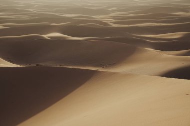 Afrika 'nın güneydoğu MoroCCO' daki Sahra Çölü 'nde Erg Chigaga kum tepesinin kumlu oluşumu, 2023' ün sıcak ve güneşli kış gününde açık mavi gökyüzü..