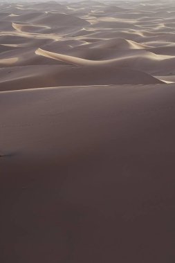 Beauty Erg Chigaga, Afrika 'nın güneydoğu MoroCCO' daki Sahra Çölü 'nde kum tepesi, 2023' te açık mavi gökyüzü, Ocak ayında güneşli, dikey kış günü-