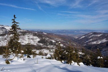 Polonya 'nın Avrupa Szczyrk kenti yakınlarındaki Silesian Beskid' de beyaz panorama, 2022 yılının soğuk ve güneşli kış gününde açık mavi gökyüzü.