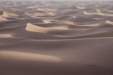Afrika 'nın güneydoğu MoroCCO' daki Sahra Çölü 'nde Erg Chigaga kum tepesinin kumlu oluşumu, 2023' ün sıcak ve güneşli kış gününde açık mavi gökyüzü..
