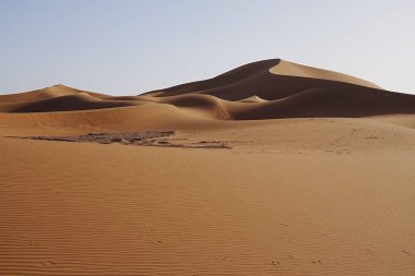Afrika 'nın güneydoğusundaki Sahra Çölü' nde parlak Erg Chigaga kum tepesi, Ocak 2023 'te açık mavi gökyüzü, sıcak ve güneşli bir kış günü..