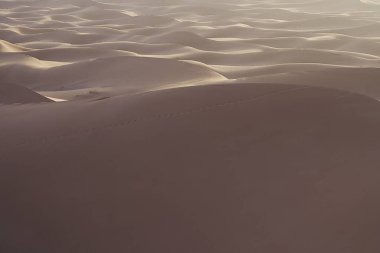 Afrika 'nın güneydoğusundaki Sahra Çölü' ndeki Erg Chigaga kum tepeciklerinin gündoğumunda 2023 yılının sıcak ve güneşli kış günü..