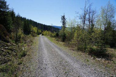 Polonya 'nın Silezya Voyvoda kentindeki Avrupa Szczyrk kasabası yakınlarındaki Silesian Beskids yolu 2025' in güneşli bahar gününde açık mavi gökyüzü.