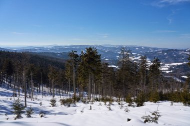 Beskids manzaralı dağlar Polonya 'daki Silezya Voyvoda Avrupa Bialy Krzyz yakınlarında, 2022' de açık mavi gökyüzü soğuk güneşli kış günü.
