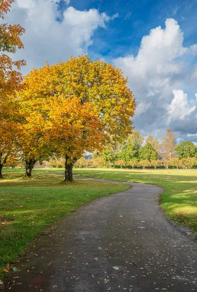 Autumn Weather Color Changes Public Park Fairview Oregon State — Stock Photo, Image