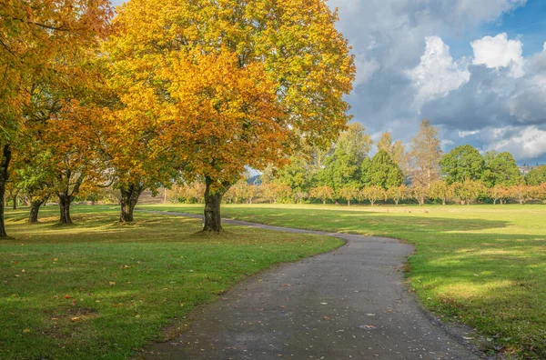 stock image Autumn weather and color changes in a public park Fairview Oregon state.