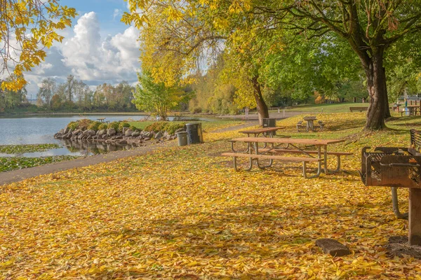 Zlatý Podzim Veřejném Parku Státě Oregon — Stock fotografie