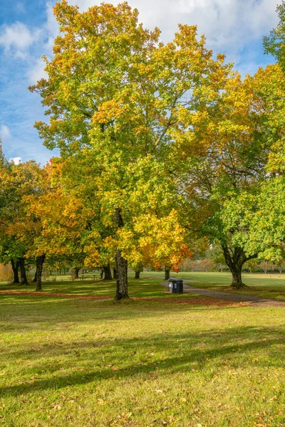 Outono Mudanças Meteorológicas Cor Parque Público Fairview Oregon — Fotografia de Stock