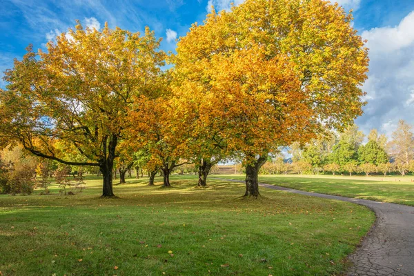 Fairview Oregon eyaletinde sonbahar havası ve renk değişiklikleri.