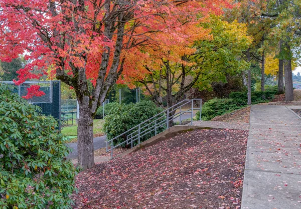 Diversiones Parques Públicos Colores Otoñales Gresham Oregon —  Fotos de Stock