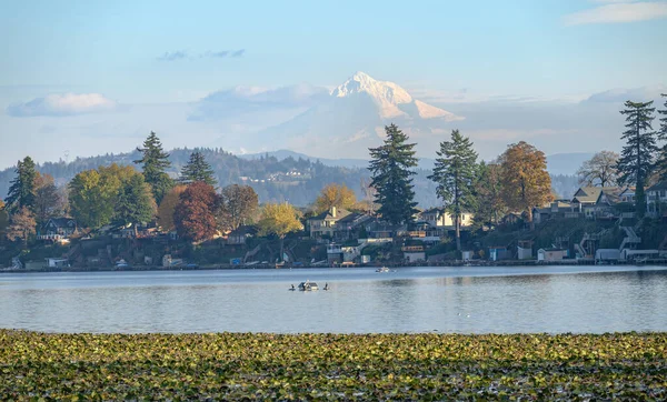 Lares Residenciais Com Hood Blue Lake Park Estado Oregon — Fotografia de Stock