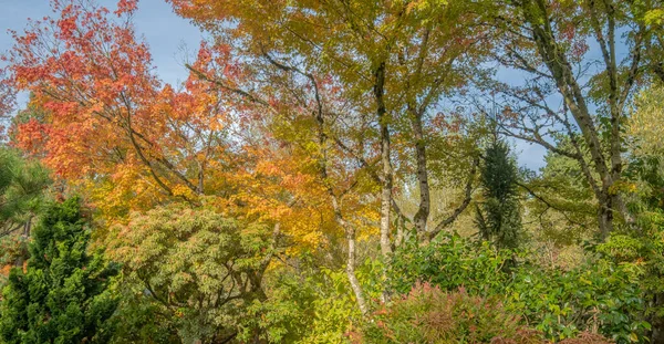 Nature Colors Park Gresham Oregon State — Stock Photo, Image