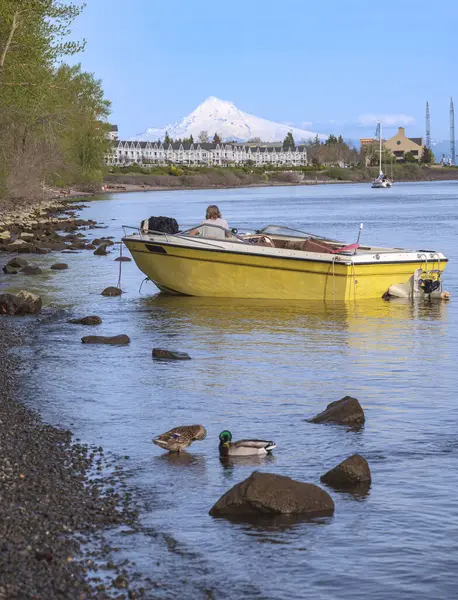 Relajarse Una Orilla Del Río Columbia Vancouver Washington —  Fotos de Stock