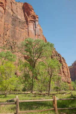 Zion Ulusal Parkı Utah Eyalet Manzarası.