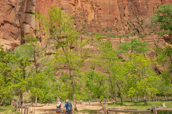 Zion Nationalpark Utah State Landschaft Malerische Aussicht — Stockfoto