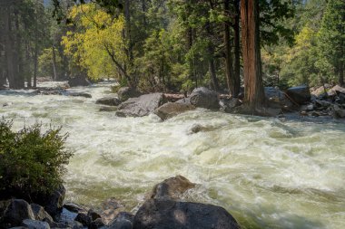 Yosemite Ulusal Parkı 'ndaki bir şelaleden aşağı akan su akıntısı California eyaletinde.