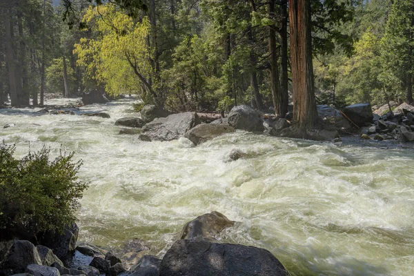 Водотік Водоспаду Національному Парку Йосеміті Штат Каліфорнія — стокове фото