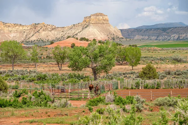 Utah Landscape Rural Living Horses Farmlands Surrounding Nature — Stock Photo, Image
