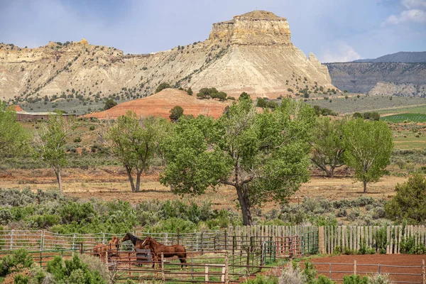 Utah Paesaggio Rurale Vivente Cavalli Terreni Agricoli Natura Circostante — Foto Stock