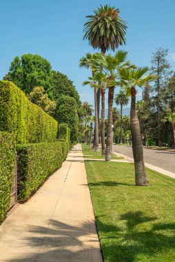 San Marino California 'da sokak manzarası ve doğa. 