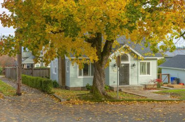 Oregon eyaletinin Gresham semtinde mevsimsel değişiklikler.