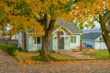 Oregon eyaletinin Gresham semtinde mevsimsel değişiklikler. 
