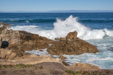 Monterey California kıyı şeridi okyanus kayaları ve deniz yaşamı.