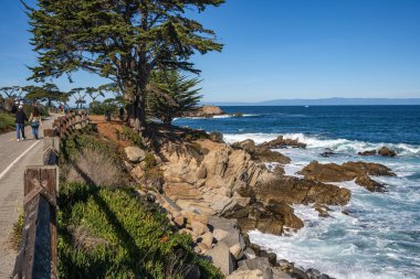 Monterey California kıyı şeridi okyanus kayaları ve deniz yaşamı.