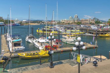 Victoria BC Kanada - Juky 22 - 2024 şehir merkezi turizm manzarası Victoria BC Kanada.