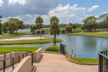 Golf sahaları bataklık manzarası ve palmiye ağaçları Florida eyaleti. 