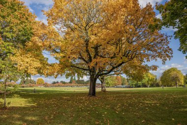 Troutdale Oregon eyaletinde sonbahar sezonu ve renk değişimi. 