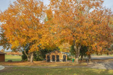 Bir arazide Altın Sonbahar Mavi Göl Parkı Oregon Eyaleti.