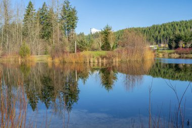 Göldeki yansımalar ve Nehaleh Washington eyaleti çevresindeki manzaralar. 