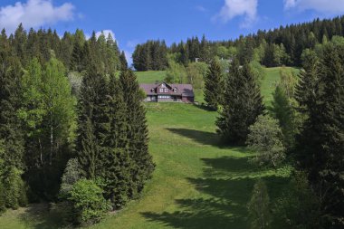 Spring mountainside with a cottage and trees in the Krkonose National Park, Czech Republic