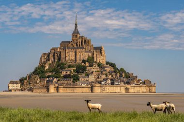 Ünlü Mont-Saint-Michel mavi gökyüzüne karşı güneş ışığında bulutlarla, koyunlarla