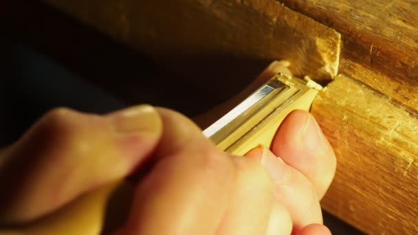 Luthier Trabajando Placa Arco Con Cincel — Vídeos de Stock