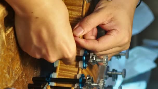 Luthier Encaixar Parte Trás Para Costelas Instrumento — Vídeo de Stock