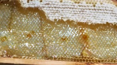 Arı yetiştiricisi bal topluyor, bal peteğinde bal dolu bal arılarıyla dolu bir çerçeve. Arıcılık konsepti.
