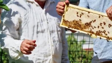 Organik akasya çiftliğindeki arıcı, temizlik ve teftiş kovanında.