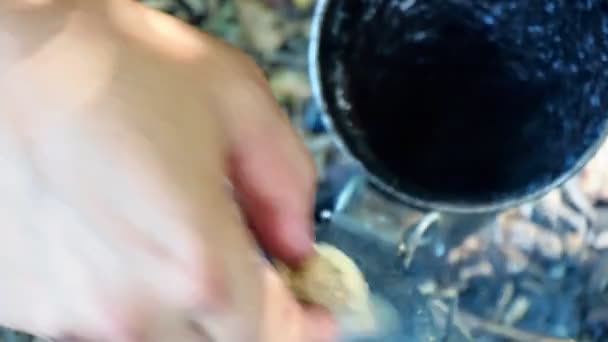 어금니를 태우는 양봉가 — 비디오