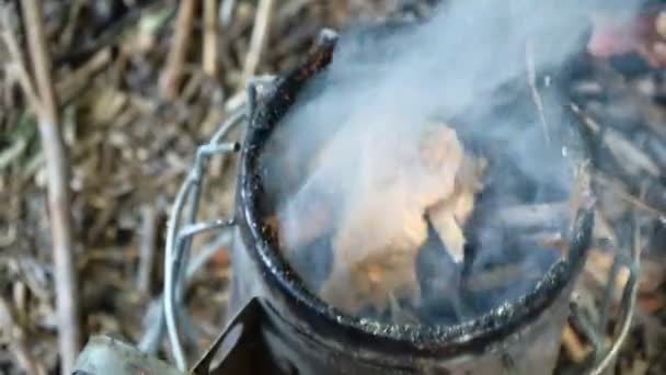 Beekeeper Burning Tinder Fungus Bee Smoker — Stok Video