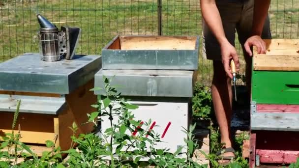 蜜蜂饲养员在蜜蜂吸烟者中焚烧火星菌 — 图库视频影像
