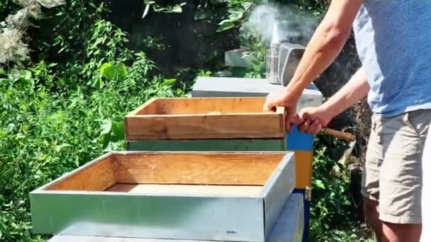 Včelař Při Práci Čištění Kontrole Úlu Ekologické Akátové Farmě — Stock video