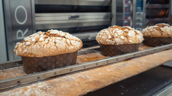 Bir grup panettone keki fırının profesyonel fırınında pişiriliyor.