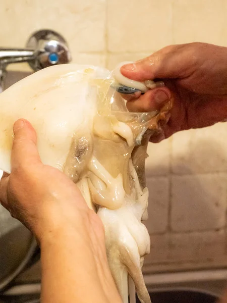 Curățarea Unui Crud Cuttlefish Adriatic Acasă Numana Marche Italia — Fotografie, imagine de stoc