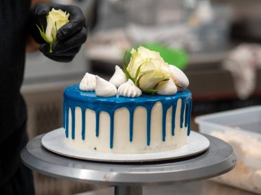 Pasta şefi pasta tasarımcısı mutfak laboratuarında mavi beyaz peynirli kek hazırlıyor.