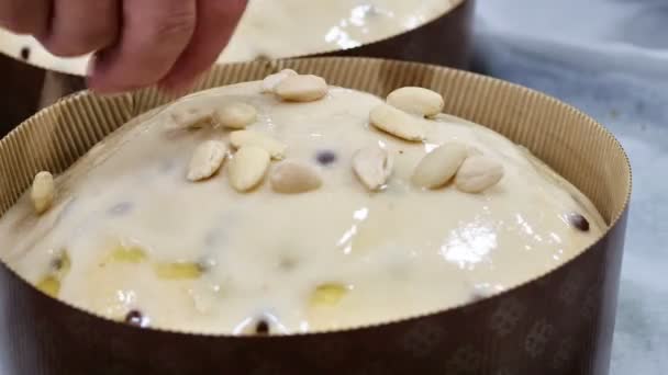Şefin Üstüne Kremalı Talyan Pastası Badem — Stok video