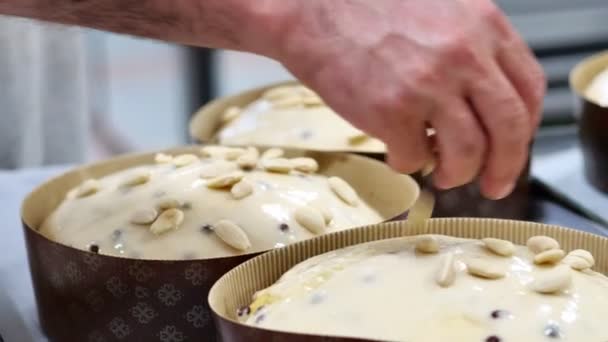 Chef Kok Topping Panettone Italiaanse Taart Met Amandelen — Stockvideo